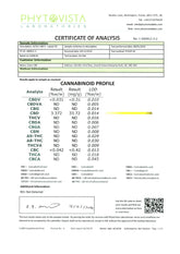 214384947.webp